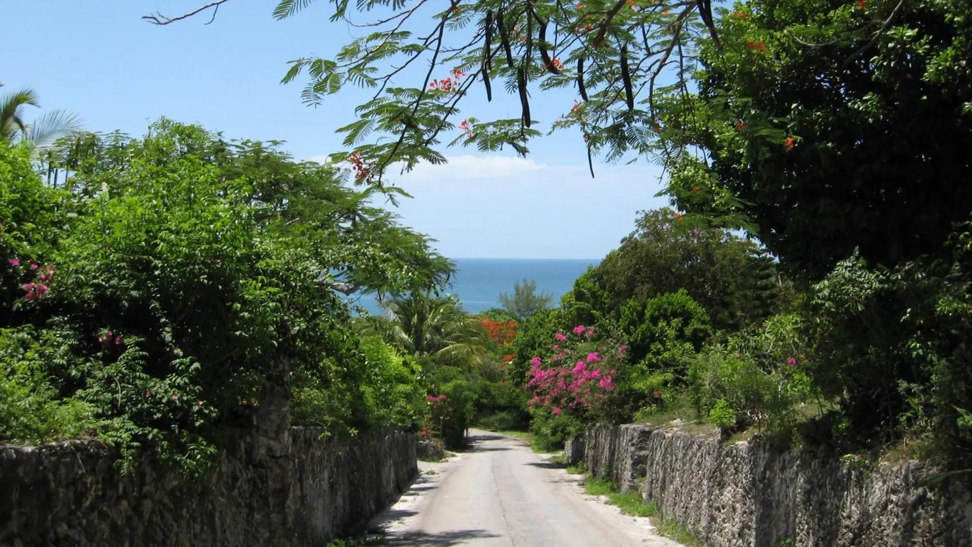 Buttonwood Reserve By Eleuthera Vacation Rentals James Cistern 바하마